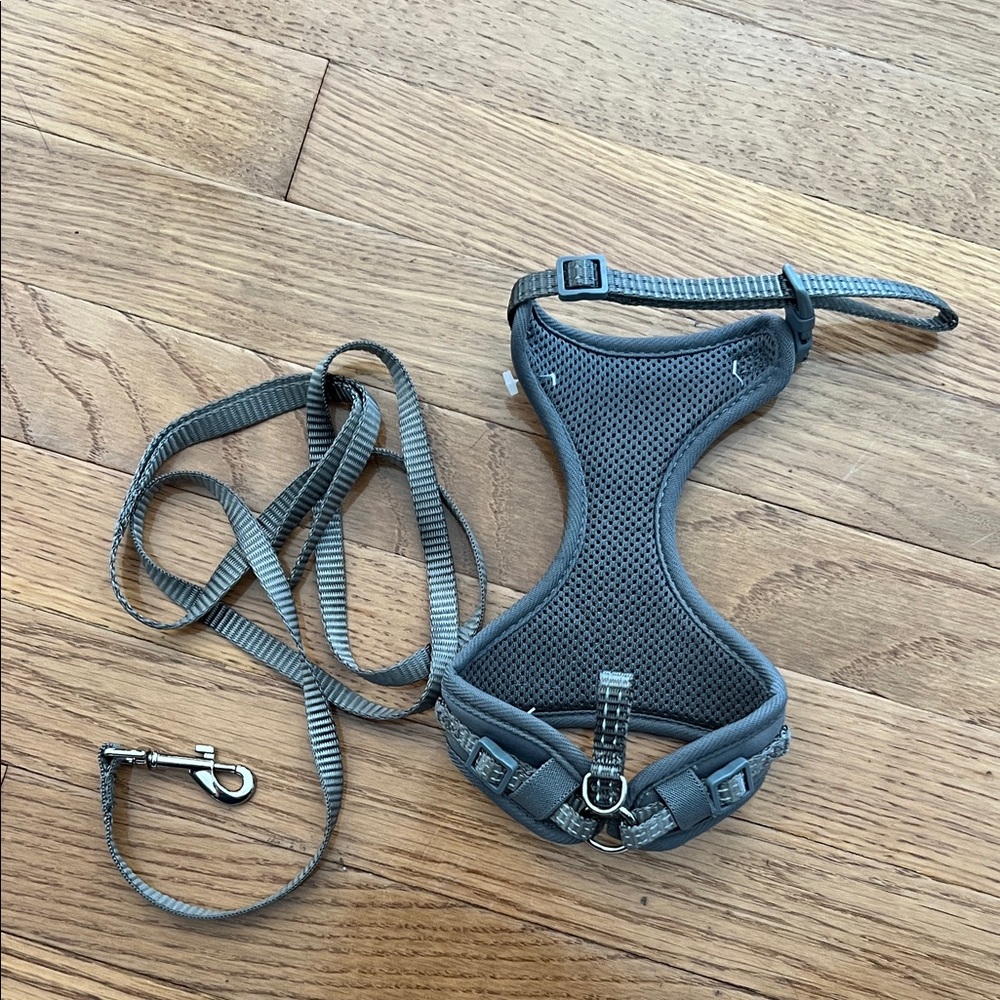Gray Dog Harness and Leash Set less than 10 lbs